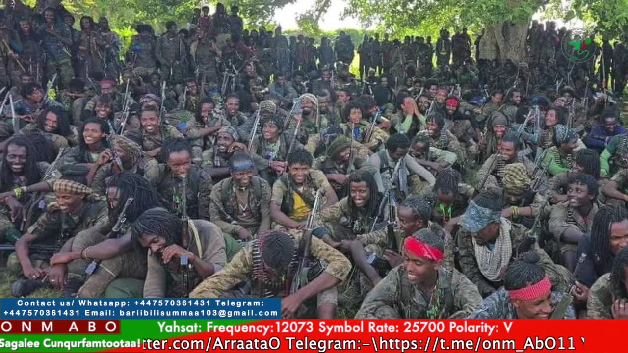 Gabaasa Tarkaanfii ONM-ABO Adoolessa 19-2025 itti dhiyaadhaa!