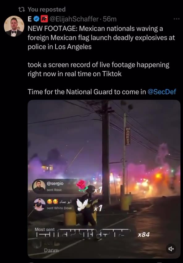 🚨 Mexican nationals waving foreign flag & launch deadly explosives at police in LA