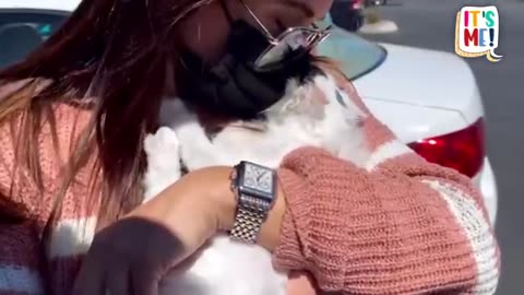 Viral: This Rude Kitty Does Not Do Baths! | It’s Me! | Dodo Kids