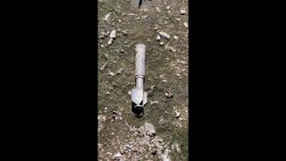 Dry lake short hunt