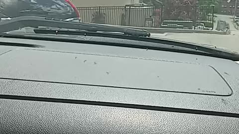 JUNE 6 2024 HEADING TO RITE AID PART 1