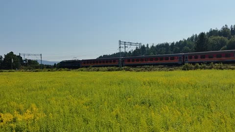 Kamieńczyk opuszcza stacje Jelenia Góra