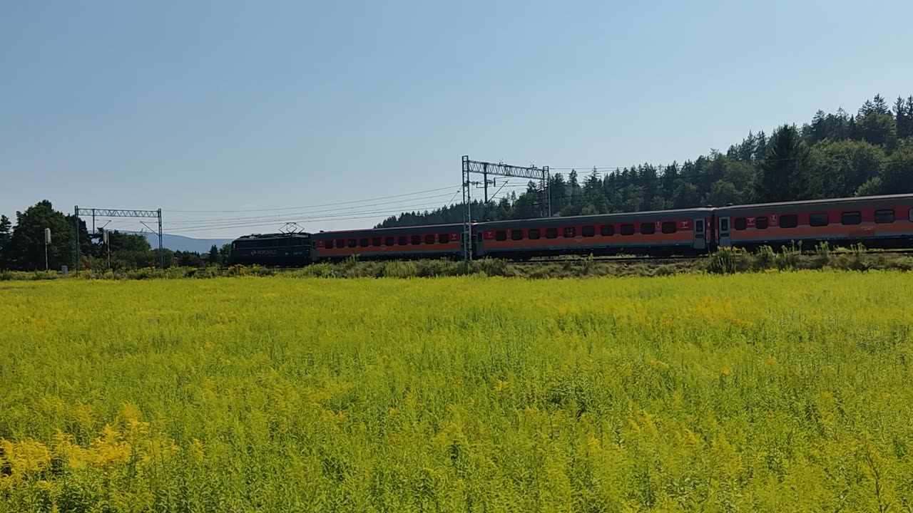Kamieńczyk opuszcza stacje Jelenia Góra