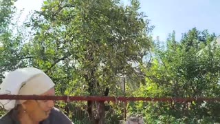 🐦🕊️ Ukraine Russia War | Ukrainian Grandma Catches Hawk in Coop | RCF