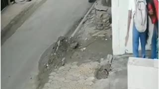 Stray Dogs Maul Indore Student on Exam Day — Alarming CCTV Footage Sparks Outrage
