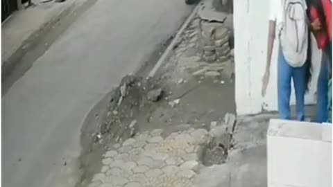 Stray Dogs Maul Indore Student on Exam Day — Alarming CCTV Footage Sparks Outrage