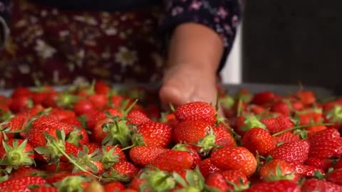 First Strawberry Harvest of the Year Making Strawberry Cake & Jam_part3