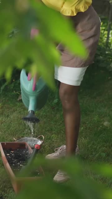 No More Bugs! Build a Frog Spa at Home