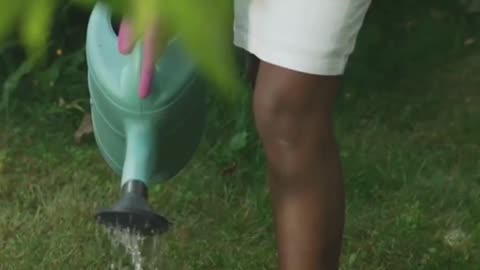 No More Bugs! Build a Frog Spa at Home