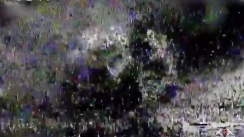 🚁🔥 Ukraine Russia War | Russian Infantry Targeted by Wild Hornets Drones in Zaporizhzhia | RCF