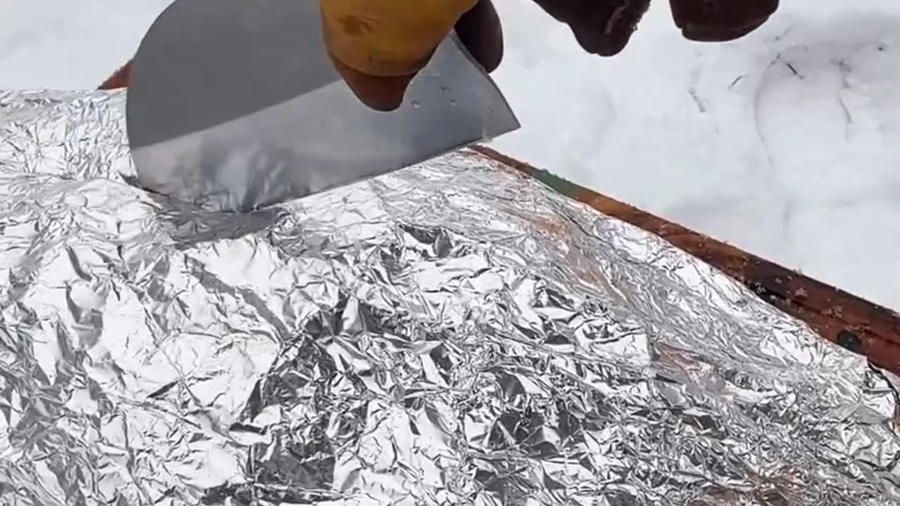Wild Cooking part 02
