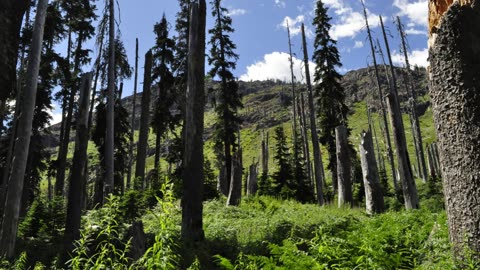 Spending Time at Spectacle Lake, WA