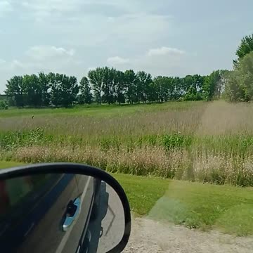 Super litty 😂😆 drank a couple beers and smoke some tree