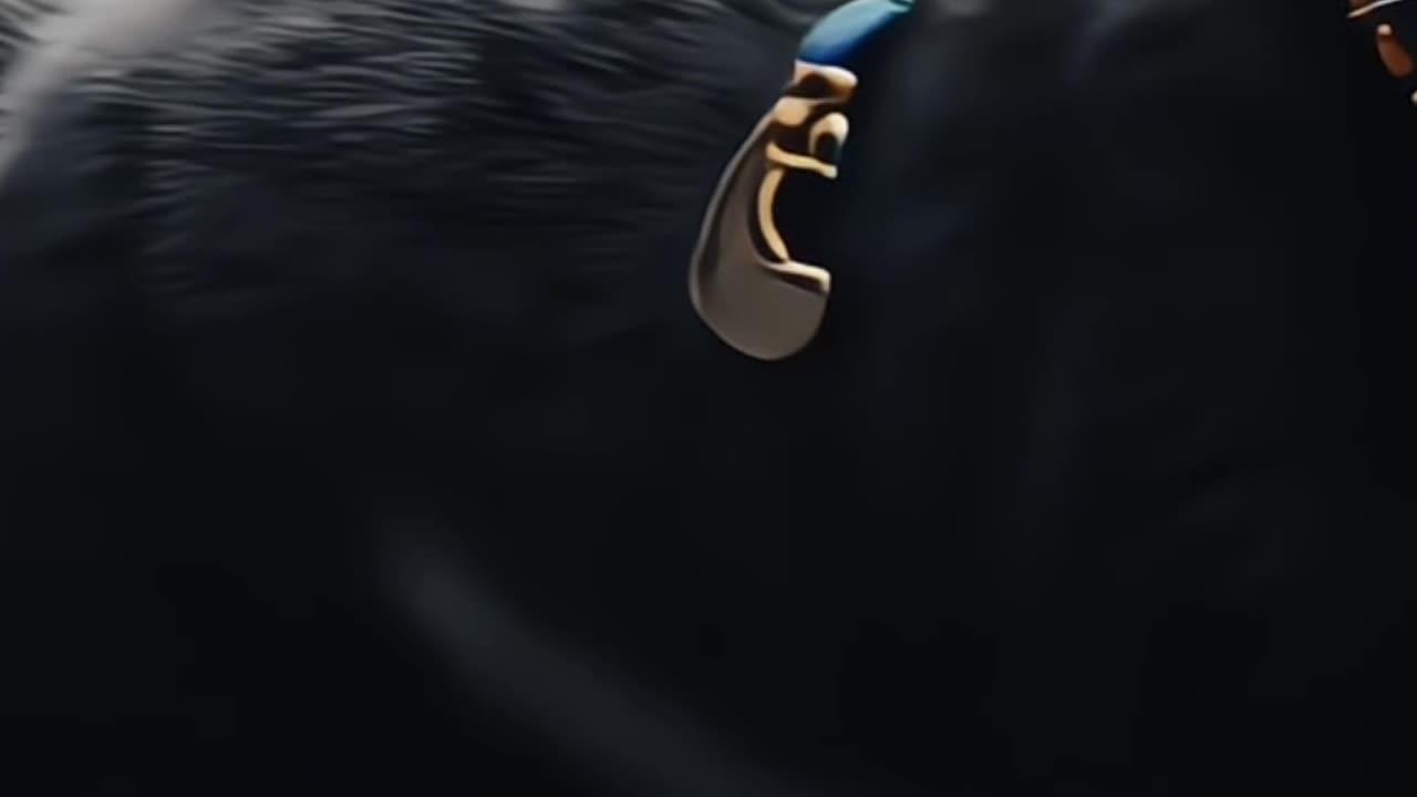 "Gangster Cat Takes Over the Streets😼💥| Hilarious Cat Skit #GangsterCat #FunnyCatVideo #CatComedy