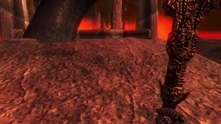 The Elder Scrolls IV: Oblivion