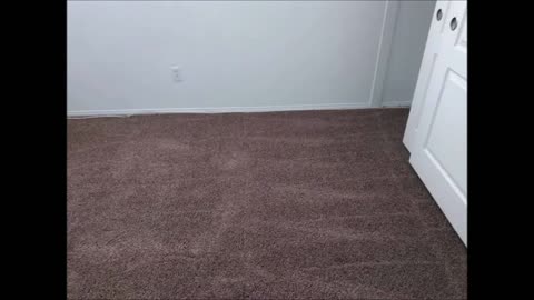 MMs Flooring Installation