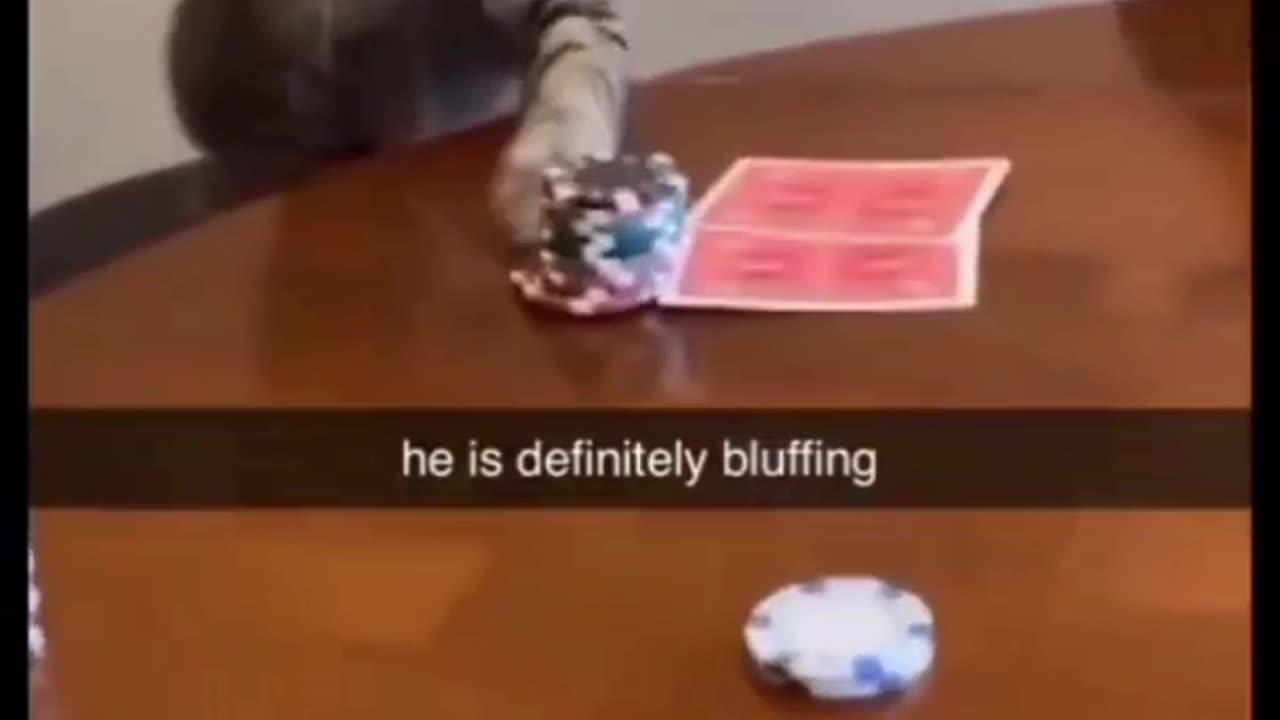 😍😍😘🔥 😍💦 FUNNY Animals and pet's💕😘 😘🔥 💕😘 😍💦 💦