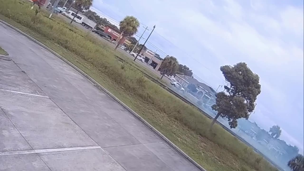 Floridians are train stupid too (1)