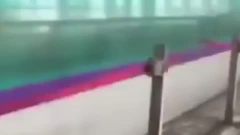 🚂✨ The World's Fastest Train: Shinkansen! | FeedMyCuriosity