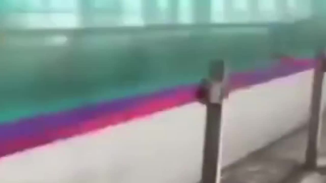 🚂✨ The World's Fastest Train: Shinkansen! | FeedMyCuriosity