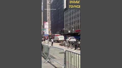 Bee swarm buzzes around midtown Manhattan