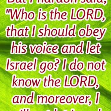 "Who is the Lord? – Pharaoh's Defiance" Exodus 5:2 #shorts #youtubeshorts #ytshorts #shortvideo #yt
