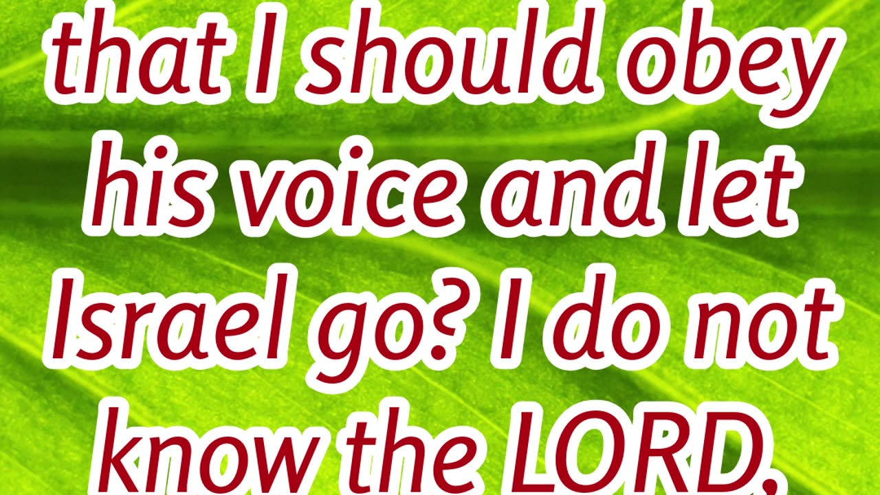 "Who is the Lord? – Pharaoh's Defiance" Exodus 5:2 #shorts #youtubeshorts #ytshorts #shortvideo #yt