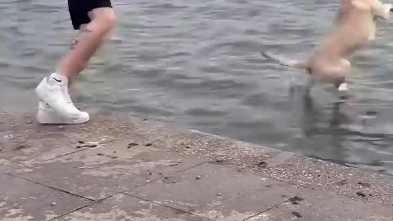 maybe the water is not for me...