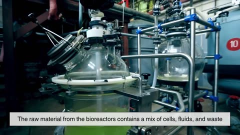 How Are Vaccines Made¿