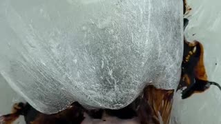 Satisfying SLIME MAKING ASMR 🧋