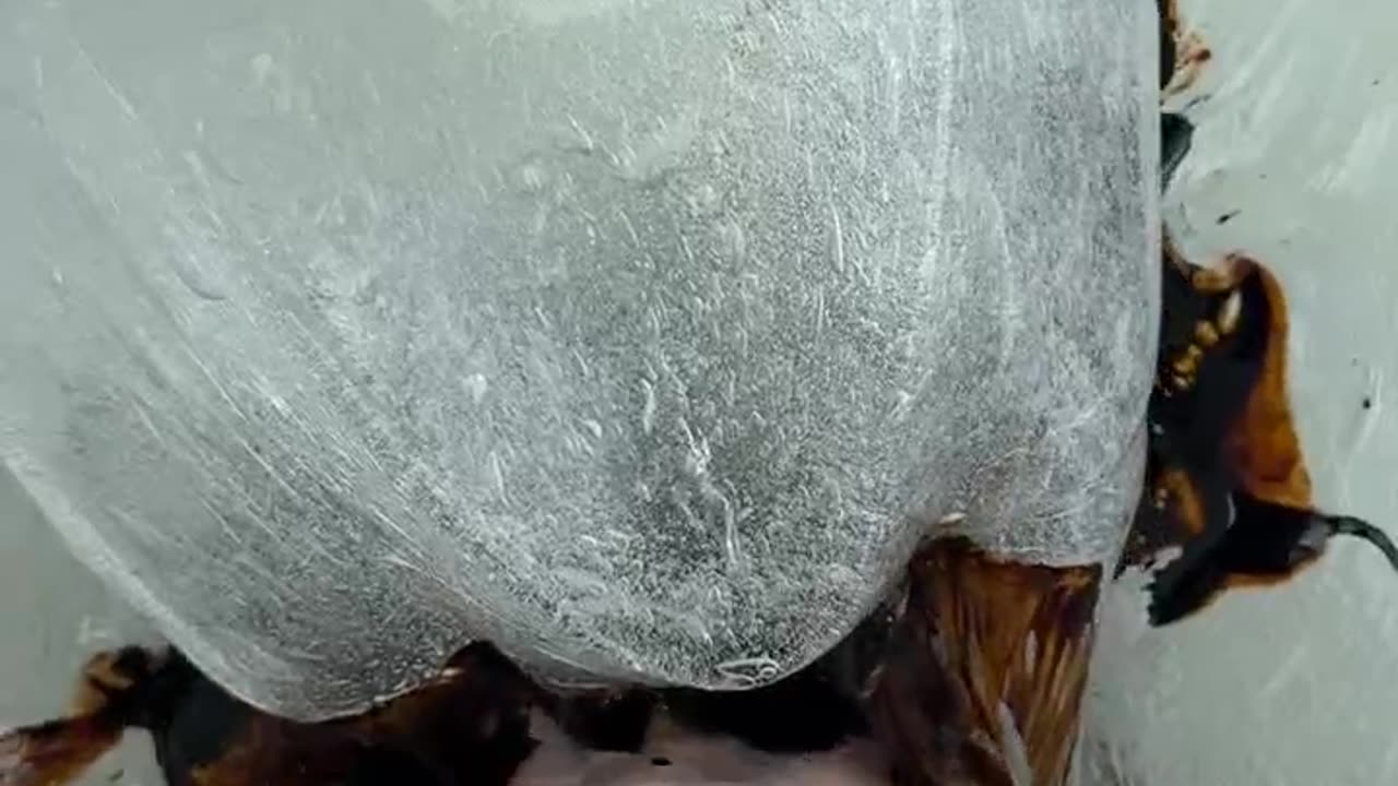 Satisfying SLIME MAKING ASMR 🧋