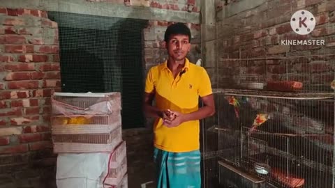 Karachi Birds shop setup