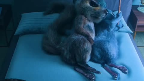 Me and my wife night 💖 🌝