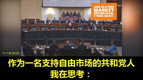 2025.11.19 Jonathan Evans, an executive at Lithium Americas, testified