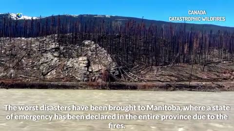 Un tiers du pays brûle au Canada, et l'été n'a même pas encore commencé
