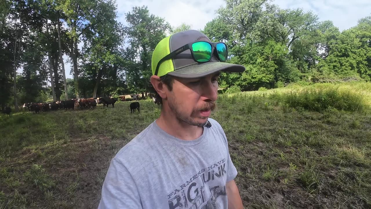 A no fun Father’s Day