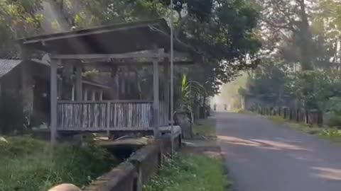 Tranquil Vibes: A Peaceful Day in My Serene Village"