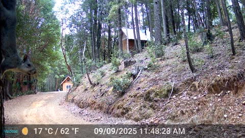 Is this my good side - Squirrel Selfie