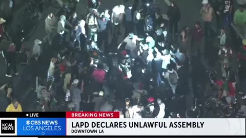 Mexicans Fighting Mexicans LA Riots 2025