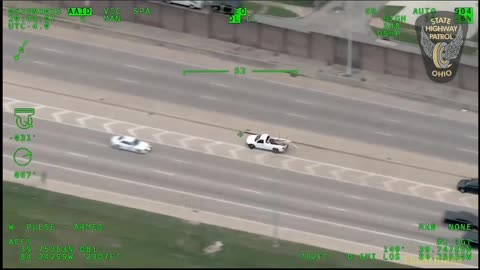 Stupid Criminals