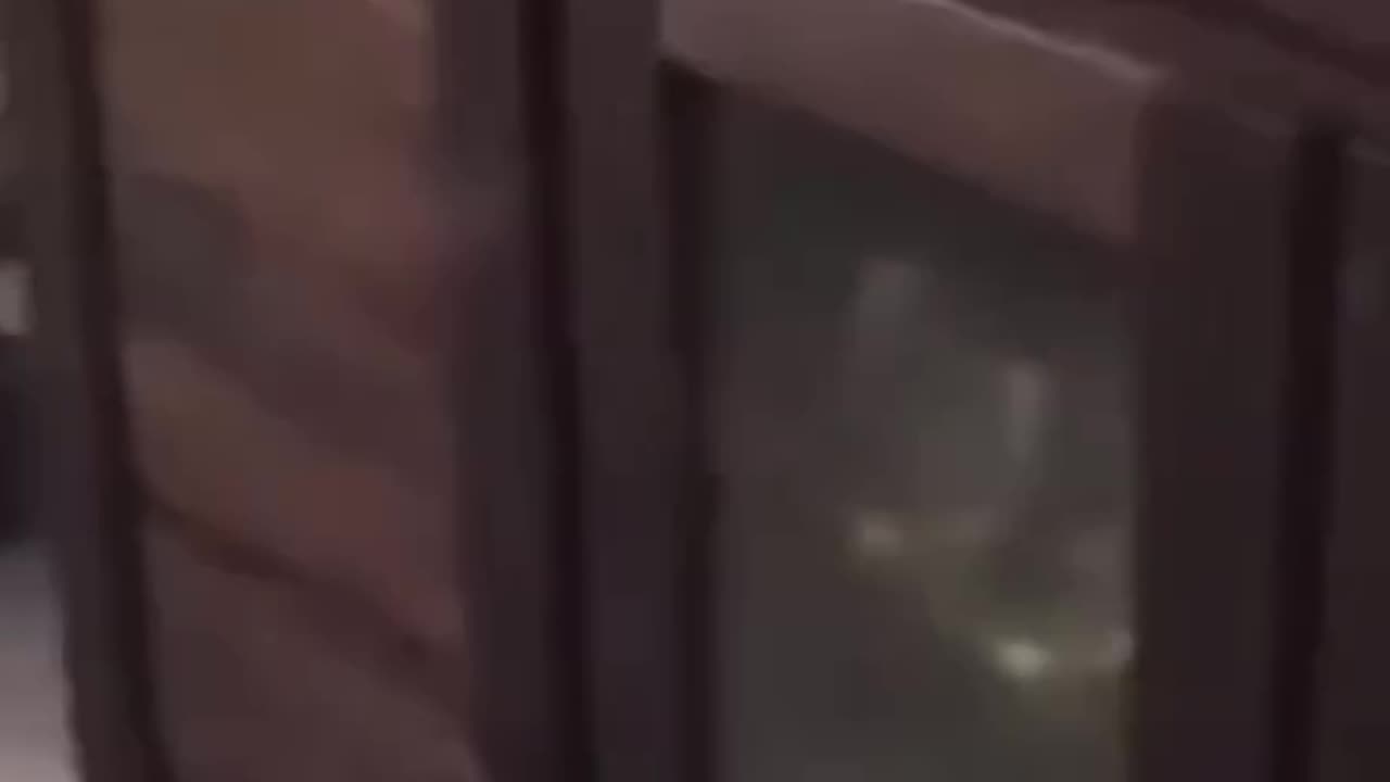Guns...Lots Of Them