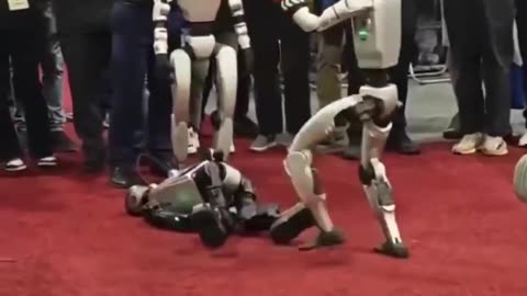 There was a robot boxing championship in China