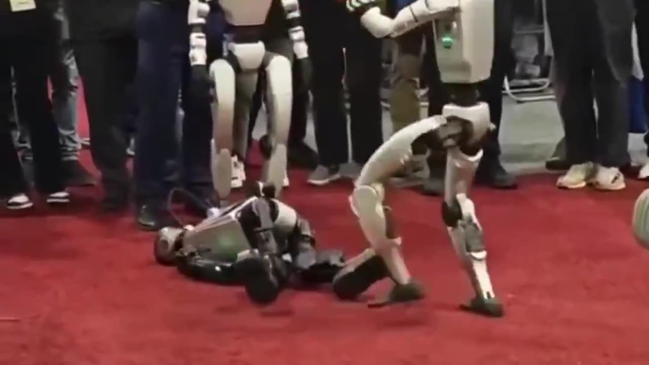 There was a robot boxing championship in China