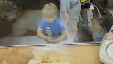 😂👀 You Won't Believe What Happens When Watching Closely! | FunFM