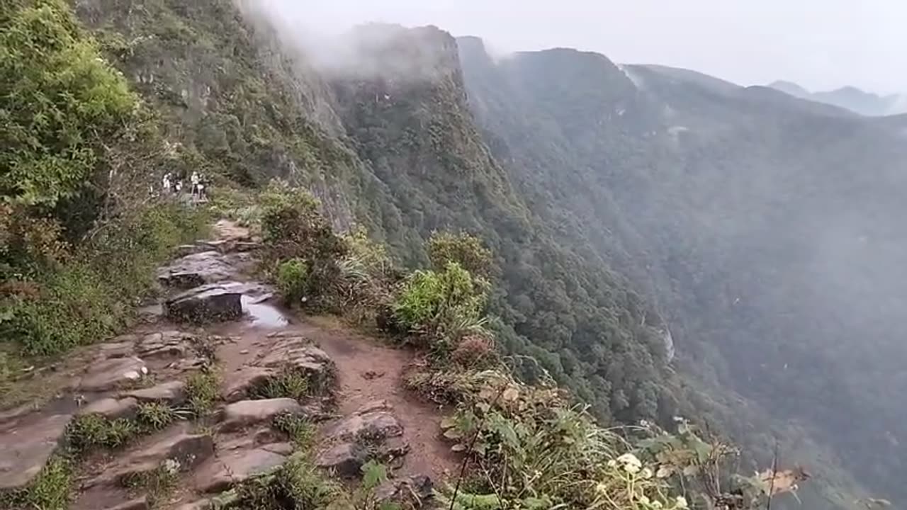 Beautiful nature