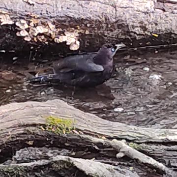 En mi "jacuzzi de mármol" en el Día Internacional de la Madre Tierra.