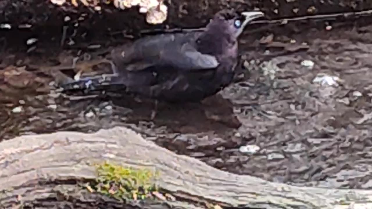 En mi "jacuzzi de mármol" en el Día Internacional de la Madre Tierra.