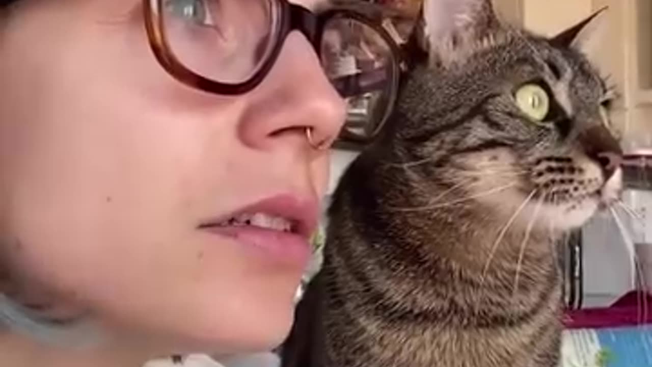 Cats, Best imitators ever!
