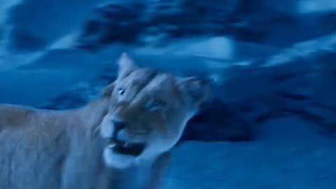 Mufasa 😍❤️ (Part - 60)....#reels #viralreels #reel #mufasa #animation #lastest #romantic #viralreel