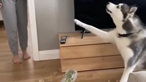 😂🤣 Wait Wait... Let me explain! | FunFM